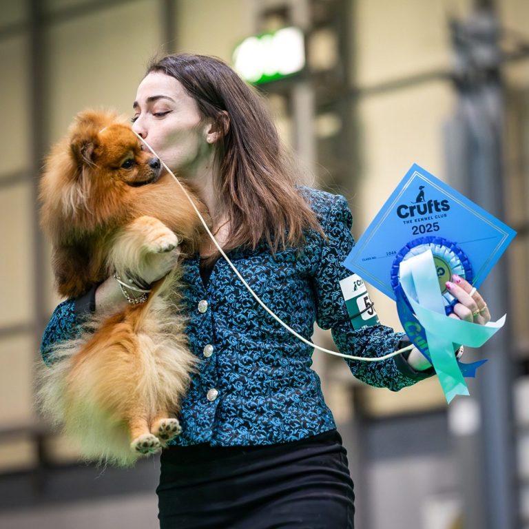 Sangoku d'une Banquise et d'un Roi